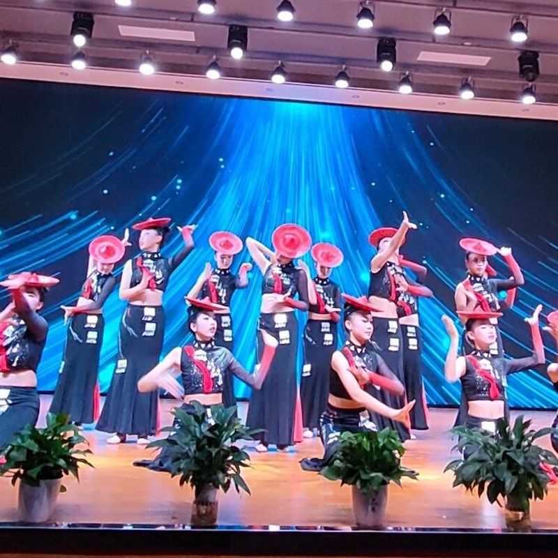 新款《椿》花腰傣族舞蹈服孔雀舞大摆练习裙练功服演出服艺考鱼尾