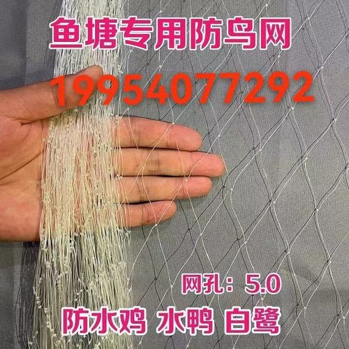 鱼塘养殖用网防白鹭专用5公分10公分网孔防鸟天网青蛙养殖防护网