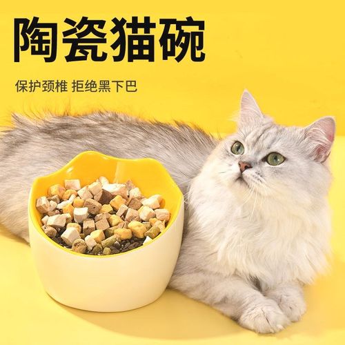 yee猫碗斜口护颈防打翻防黑下巴创意可爱宠物喝水易清洗陶瓷猫碗