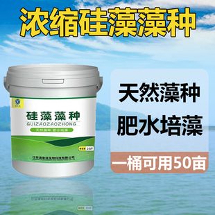 硅藻藻种水产养殖专用小球藻种肥水培藻鱼虾蟹塘水产浓缩复合藻种