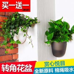 直角挂壁花盆水土培壁挂懒人自动吸水绿萝墙壁塑料90度悬挂式 吊盆