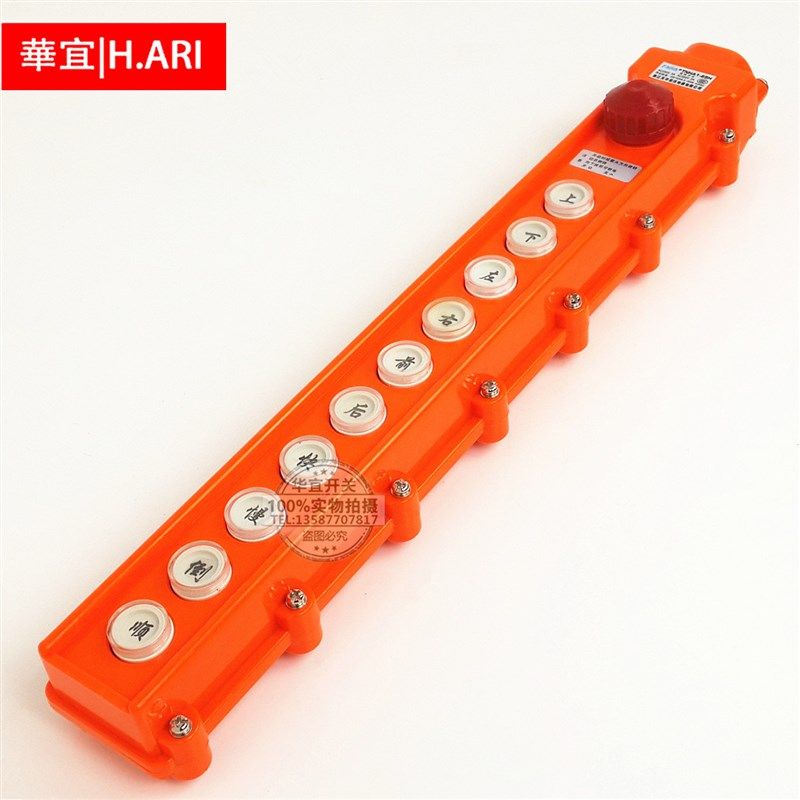 浙江天华 TNHA1-65H COB-65H 防水行车开关 起重按钮 10键