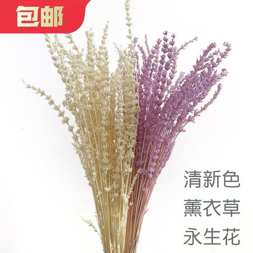 天然薰衣草永生花束小清新混搭干花包家居客厅装饰创意插花材料包