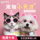 Pet Yueyue pet GPS-локатор для домашних животных, анти-потерянное устройство, умный ошейник для кошек и собак, ищущий водонепроницаемый спортивный трекер для мониторинга mini 0