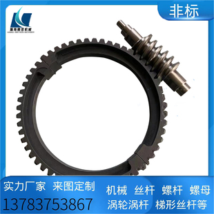 蜗轮蜗杆减速机配件双导程平面二次包络升降机齿轮轴涡轮涡杆加工
