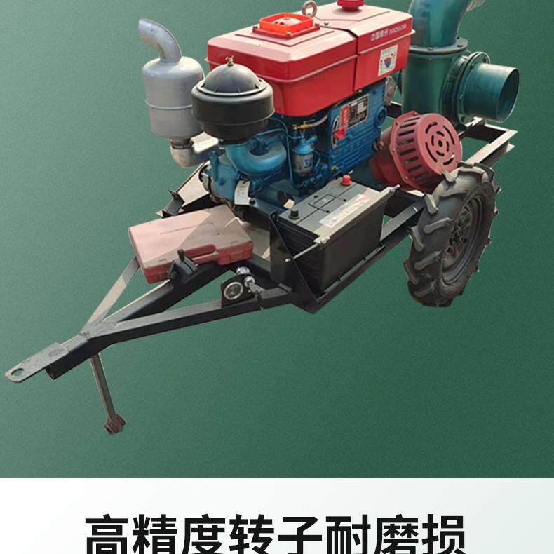 12V24V220V通用柴油泵小型加油泵自吸泵抽水泵电动抽水机