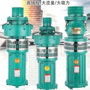抽水泵家用 侵潜水泵03寸灌溉6寸泵V农用38高扬程大流量清水泵油式