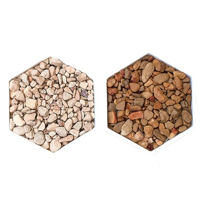 园艺硅藻土大颗粒 兰花种植多肉铺面硅藻石颗粒土1-3-6-9mm 媲美