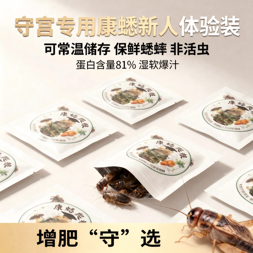 康蟋保鲜蟋蟀新人体验装顺丰发货