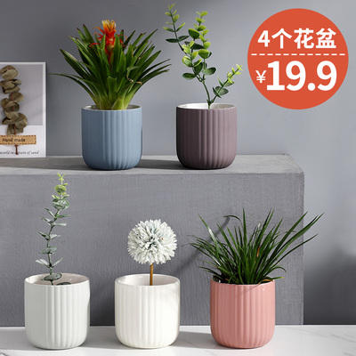 简约多肉花盆陶瓷小号植物小盆栽花器 宿舍办公桌创意仙人掌花盆