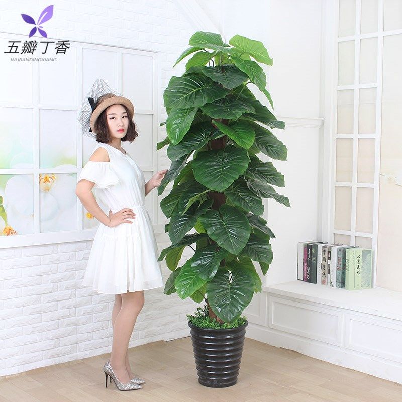 假树仿真植物盆景室内装饰滴水观音盆栽假花大型客厅落地绿植摆件,鲜花速递/花卉仿真/绿植园艺,仿真绿植,淘宝优惠券,粉丝福利购,淘宝优惠卷