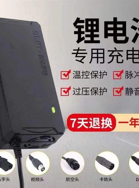 锂电池电动车充电器36V48V60V24V星恒锂电54.6V5a三元锂电池通用