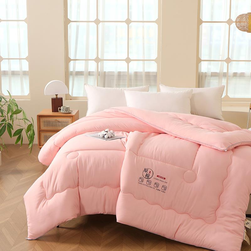 2025夏季空调被春秋被学生宿舍加厚保暖冬被纤维被柔软亲肤秋冬被