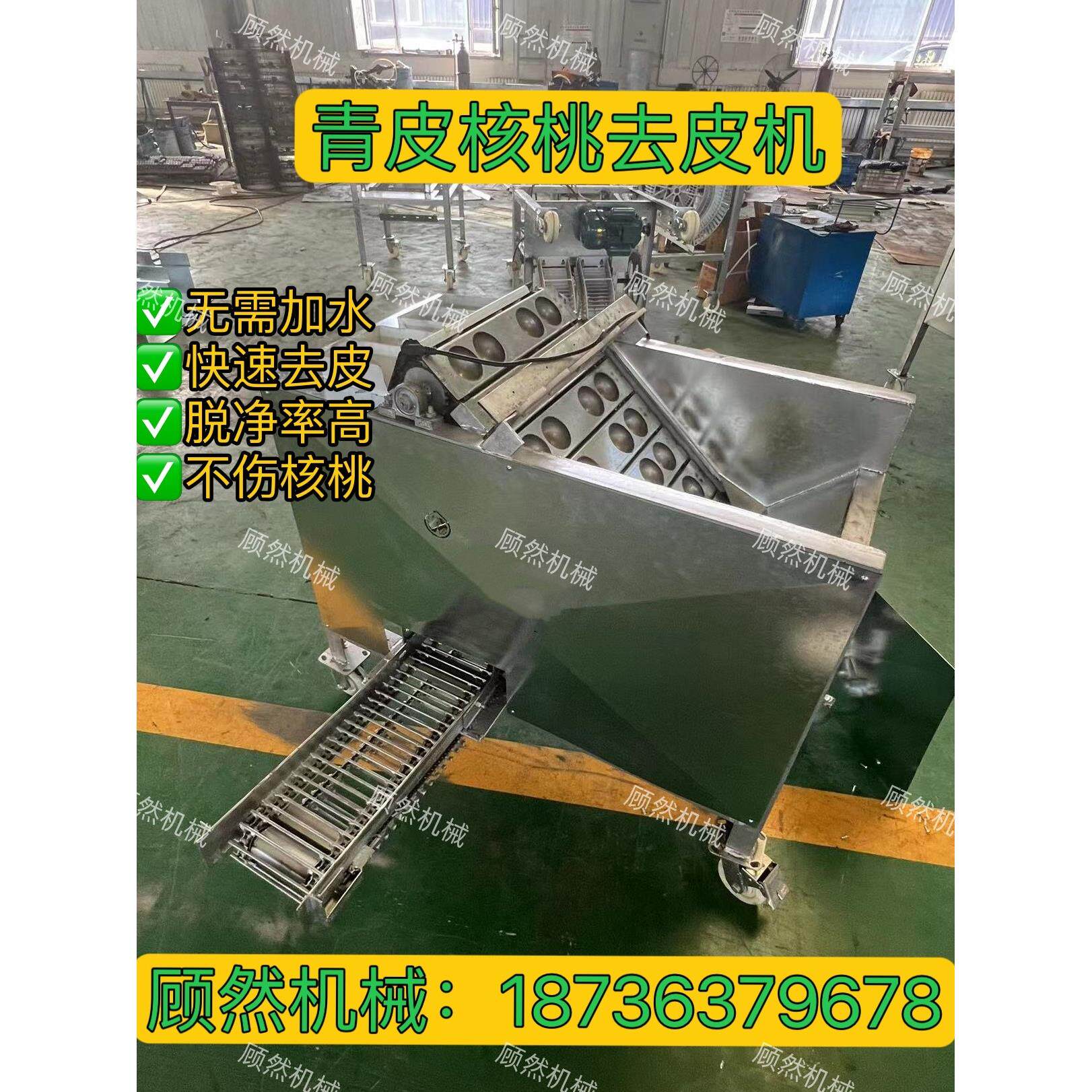 青核桃去皮机鲜核桃破皮机家用商用核桃扒皮机脱皮清洗All剥皮