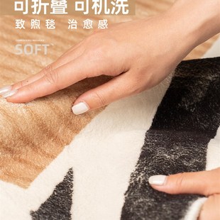 现代简约艺术家用客厅沙发茶几舒适轻奢防滑地毯 可机洗可折叠法式