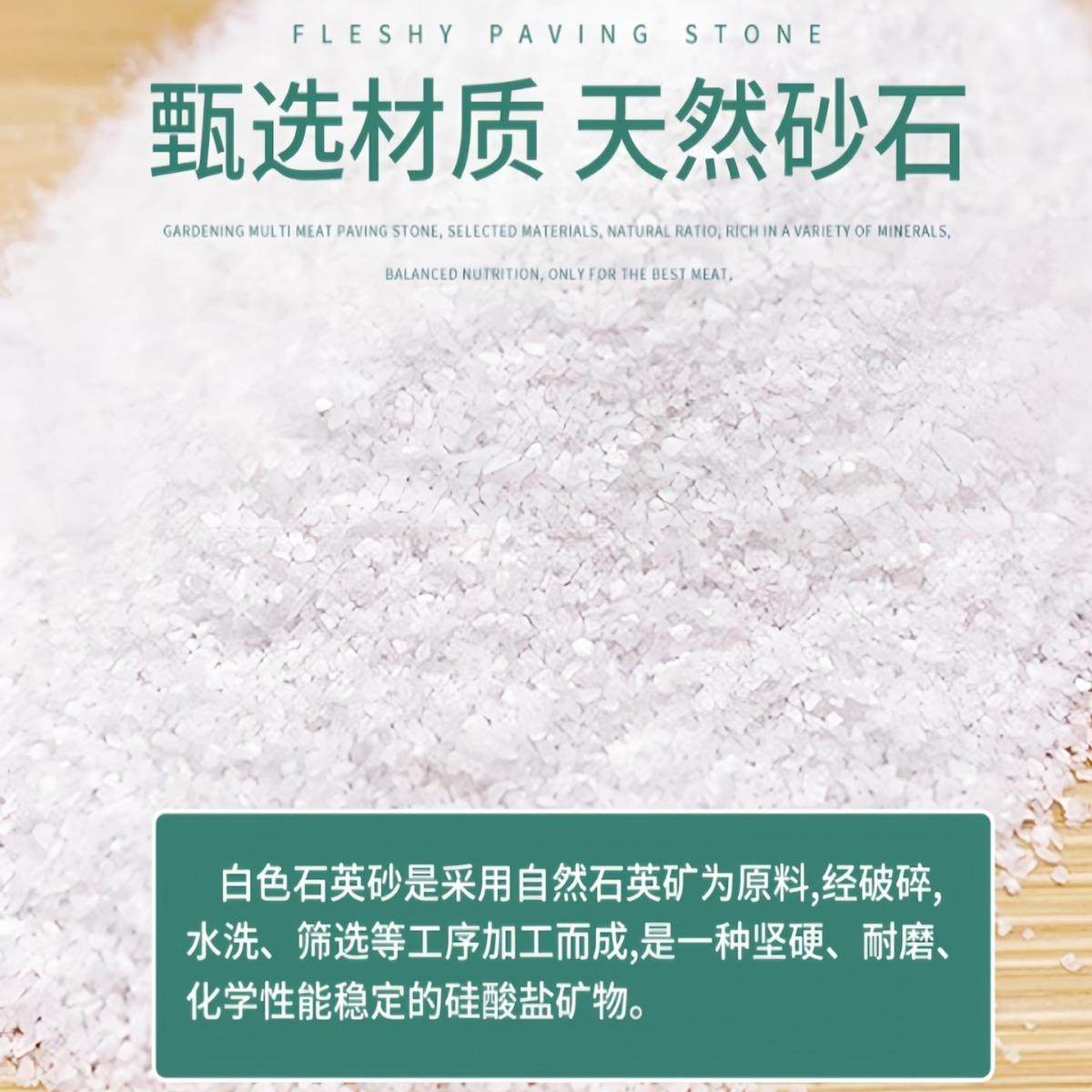 丙烯画白石英砂白色细沙鱼缸装饰水过滤白砂酒店烟灰缸儿童造景沙