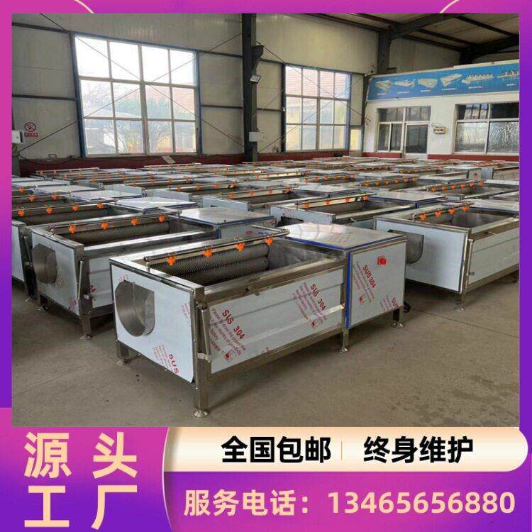 藠头清洗机 地环洋姜清洗机 土豆去皮螺旋出料清洗机