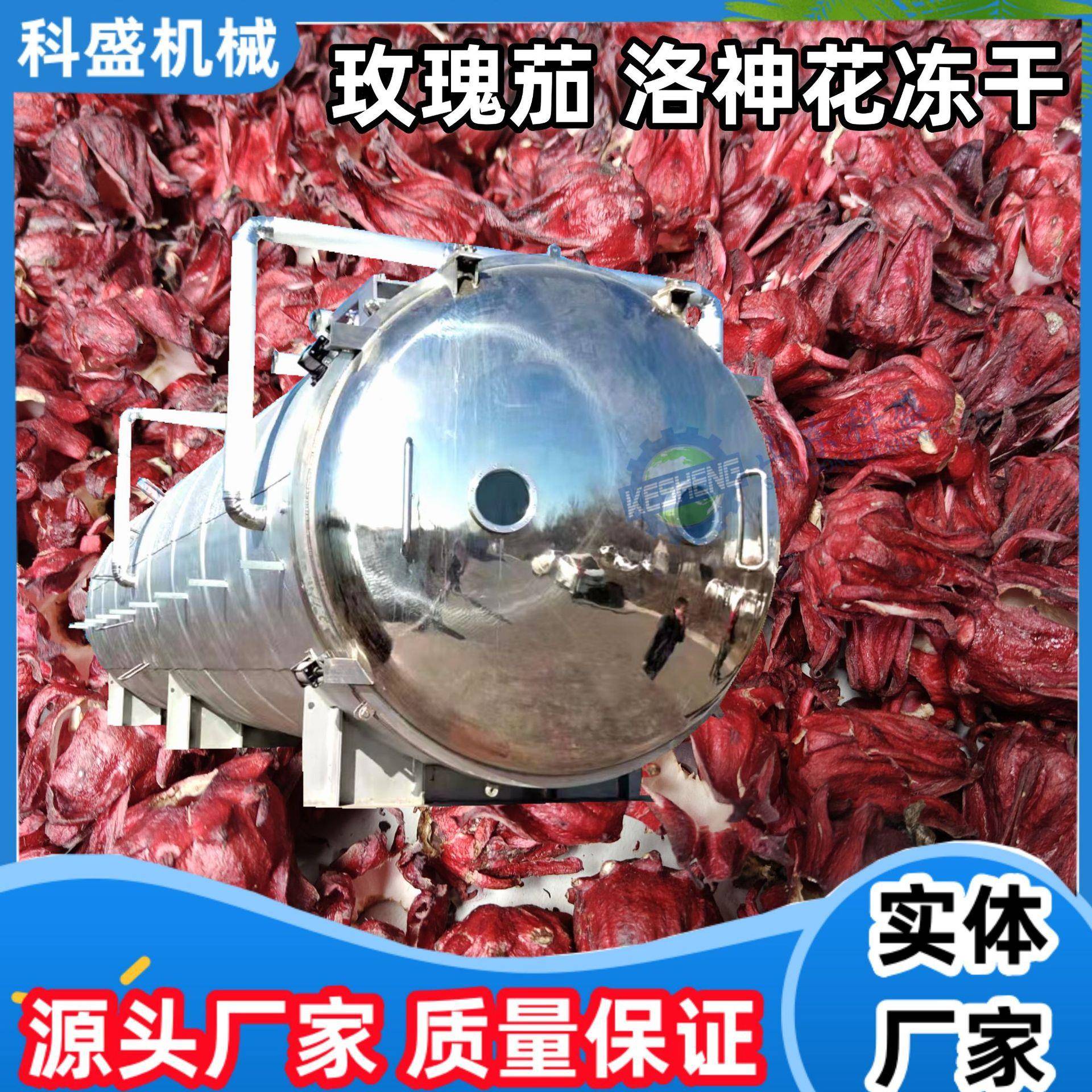 洛神花玫瑰茄冻干设备 金银花真空冷冻干燥机 菊花真空冻干机