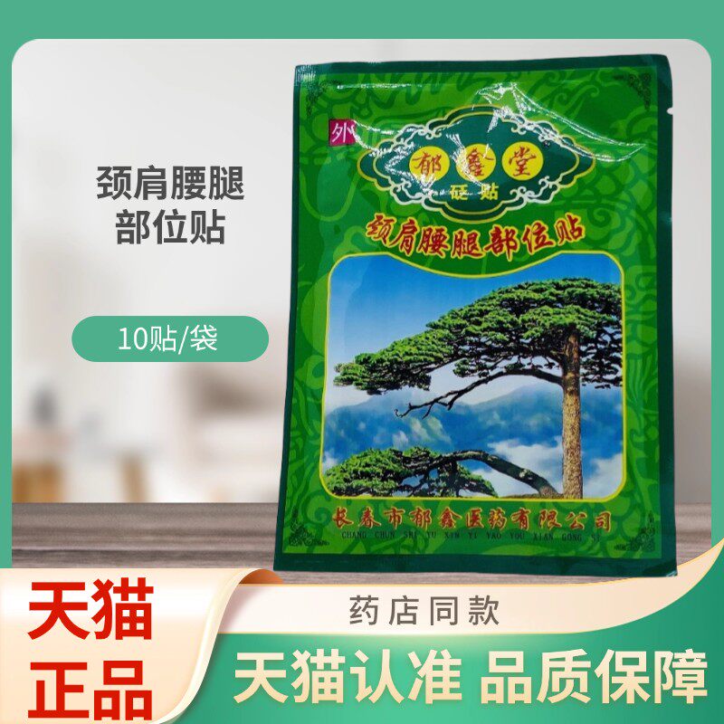 郁鑫堂砭贴颈肩腰腿部位贴10贴/袋