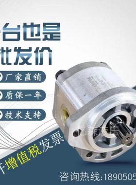 意大利CAS8/1/5-W.APP/8A凯斯帕/3/6/10/10SP2.5.4/1.5/5齿轮泵2