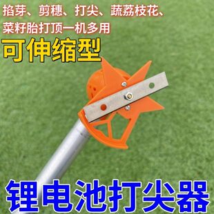 西红柿打尖菊花金银花农用豆神器冬枣新款杆电动伸缩固定角