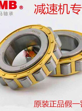 杭州天马TMB减速机轴承RN 205 206 307 308 309 312 219 222 228M
