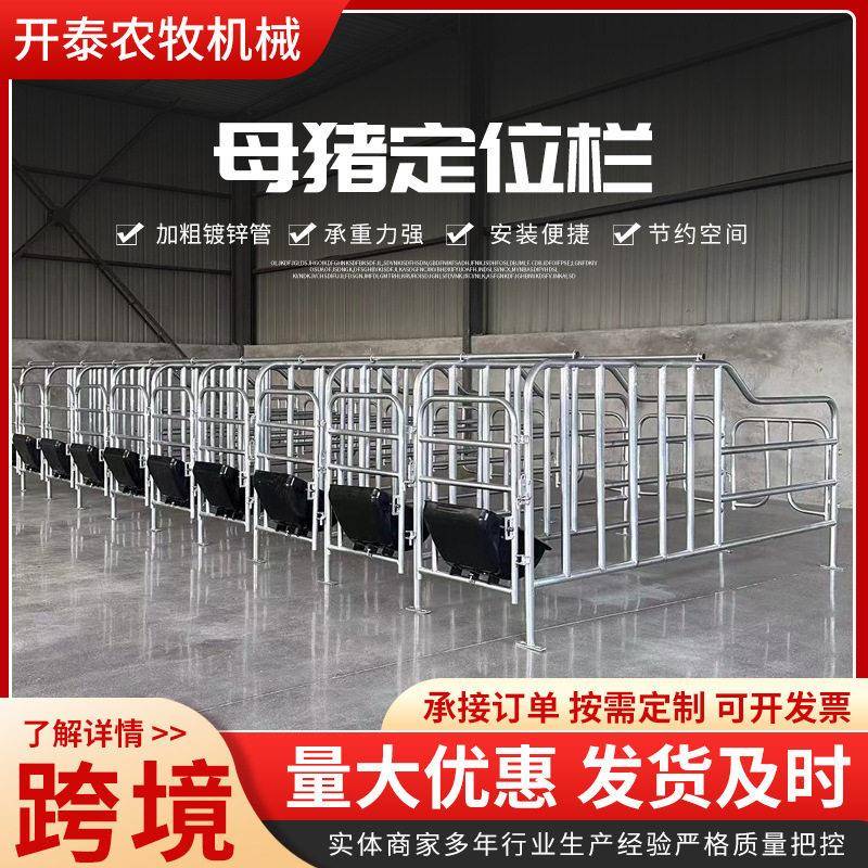 母猪定位栏限位栏落地式简易产床栏养猪设备猪圈围栏母猪限位栏