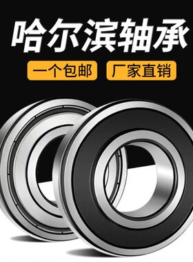 R 166060 60 6060  2160 RS26 24Z19 2201860722 16060哈尔滨轴承