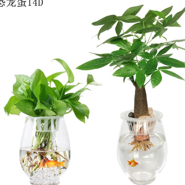 创意水培植物塑料花透明水养绿萝花盆容器插花圆球形鱼缸器皿