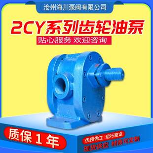 2CY3m3 2CY系列高压齿轮泵小型铸铁卧式 h燃油增压齿轮泵输送泵
