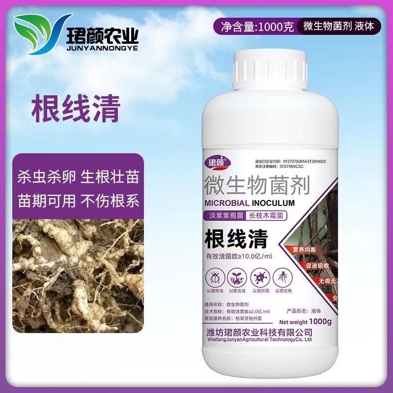 根线清微生物菌剂枯草芽孢杆菌病害根线虫根腐根瘤不伤根系