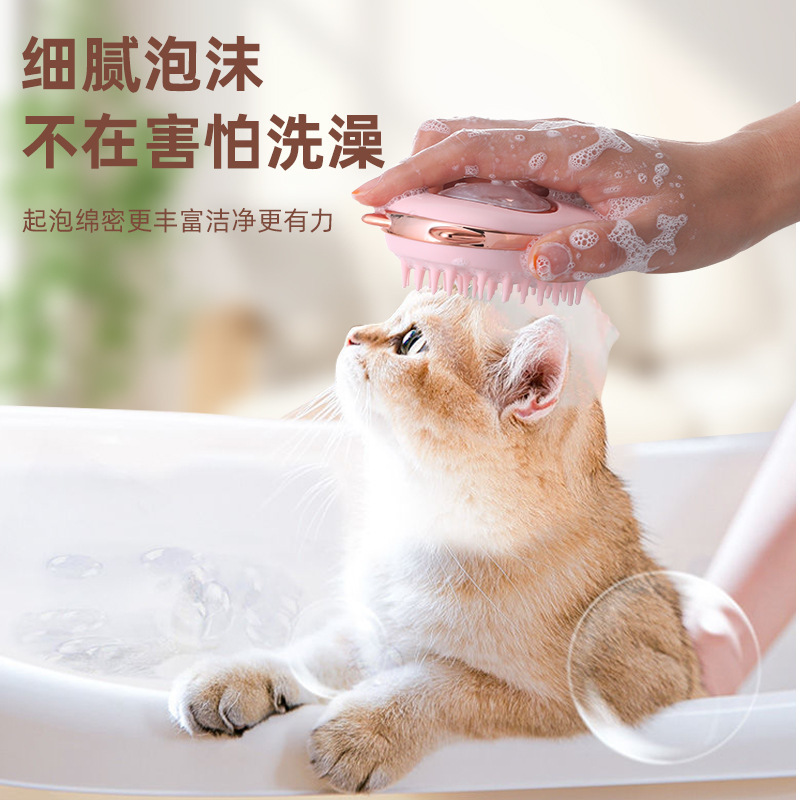 Blanlody猫咪梳子洗澡去浮毛猫咪梳毛刷激光逗猫一体宠物用品玩具