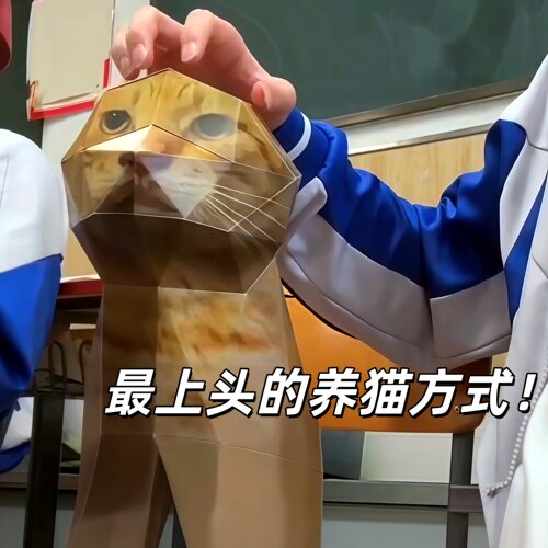 年轻人的养猫方式！耄耋纸膜