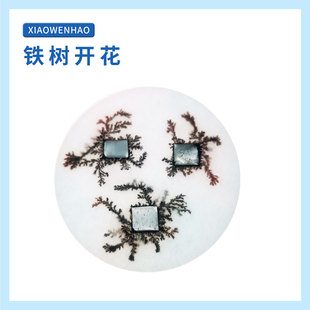 S7铁树开花幼小初科学实验器材小问号STEAM教具创客益智手工diy