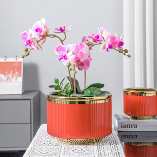 大口径欧式电镀陶瓷花盆高档家用蝴蝶兰专用虎皮兰盆栽盆客厅兰花