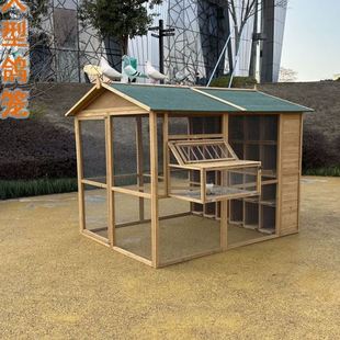特大號(hào)鴿子籠養(yǎng)殖專(zhuān)用籠配對(duì)籠鴿子巢窩籠鴿棚家用鴿舍鴿子窩室外