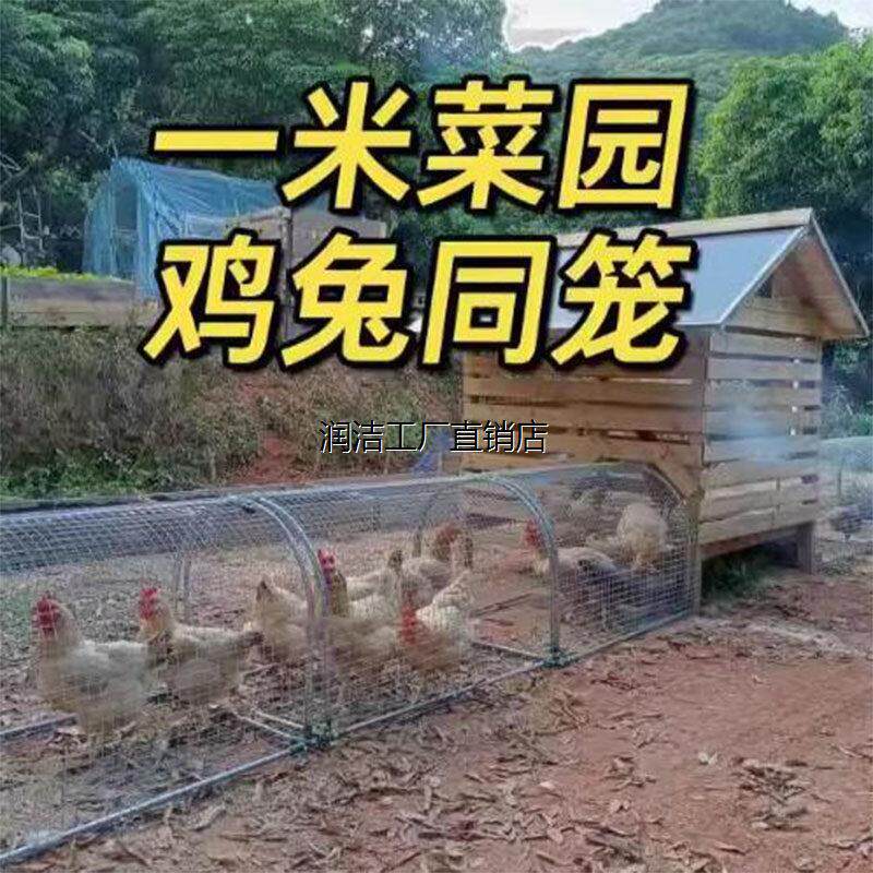 户外养鸡隧道笼子散养鸡子跑道专用散棚鸡笼溜达走地的移动养殖网