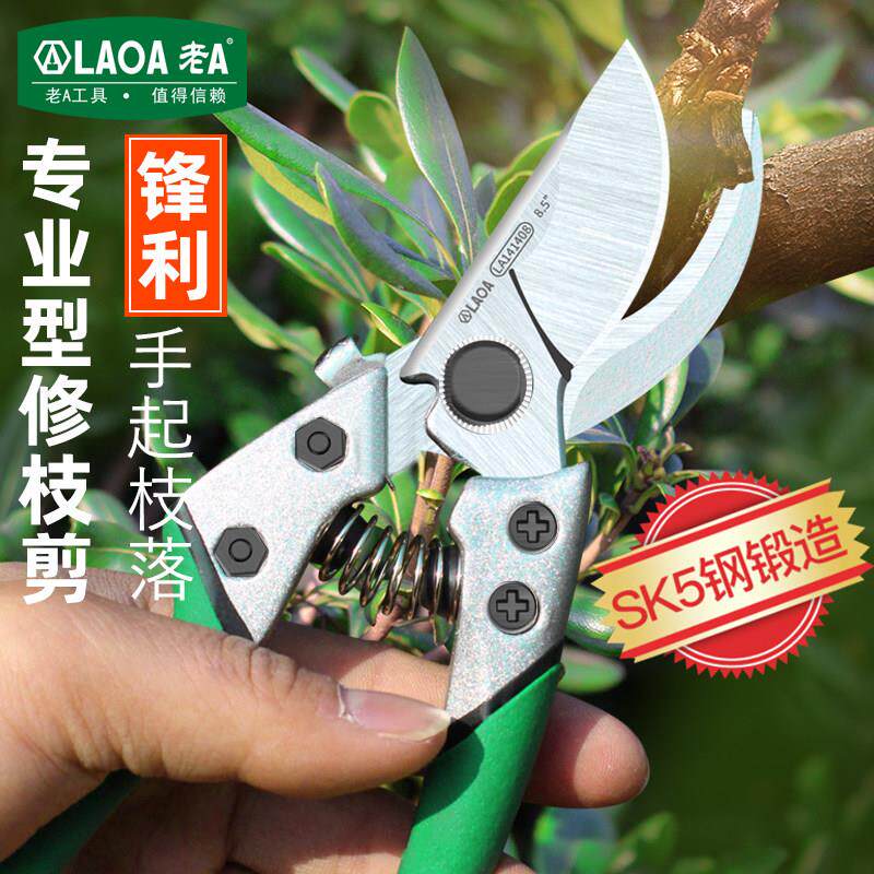 老A 园林园艺剪刀园丁剪花枝修剪树枝剪刀果枝剪修花剪刀修枝剪刀