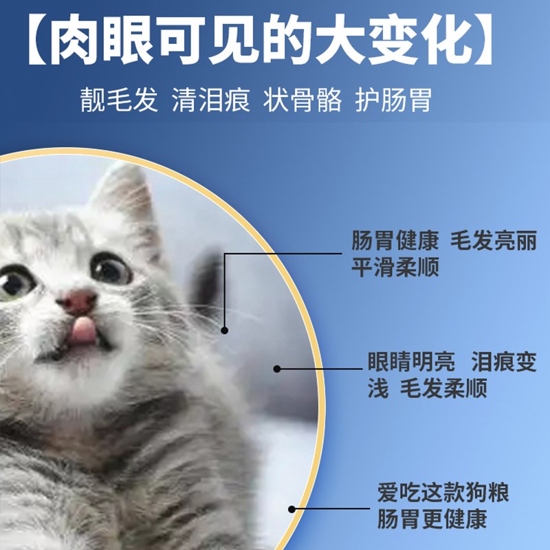 天域灵宠全价期冻干猫粮蛋黄三文鱼鸭肝营养补钙靓亮毛宝贝成幼猫