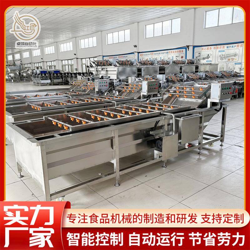 多功能连续式树莓清洗设备大型黄瓜鼓泡清洗机商用荠菜气泡清洗机