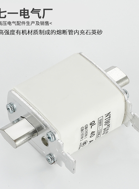 RT16/NT00/NT1/NT2 63A100A160A250A400A600A 陶瓷保险丝熔断器