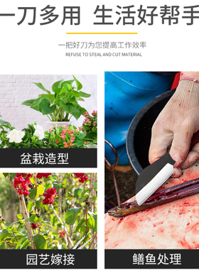 手工锻打鳝鱼刀杀剖黄鳝刀工具破鱼鳝鱼剔骨刀鲫鱼刀杀泥鳅刀专用