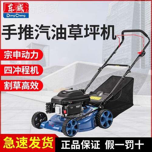 东成汽油草坪机F04-SS手S4推8风冷四冲程宗F申动力式汽91612油割