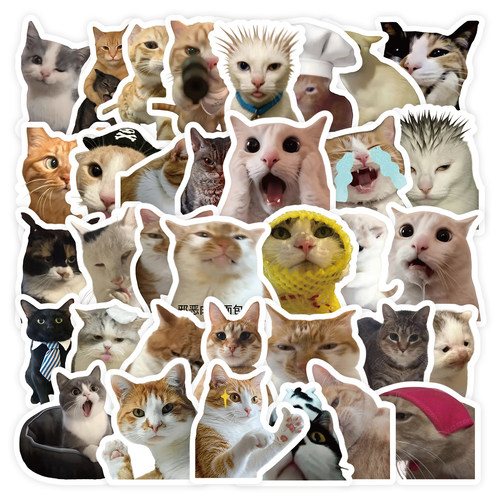 猫咪表情包贴纸可爱创意小动物猫