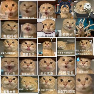 177张耄耋哈基米表情包贴纸哈基米之歌的王周边表情包装饰diy贴画