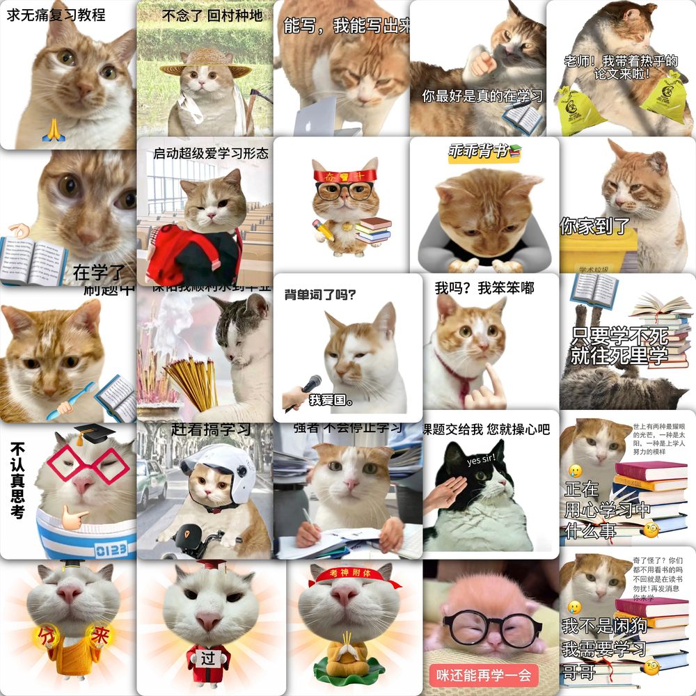 108张努力学习猫咪表情包抽象meme贴纸趣味装饰手账手机壳贴画diy