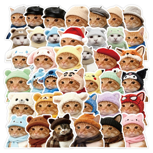 180张新款猫meme过冬穿搭贴纸可爱呆萌小动物周边装饰diy防水贴画