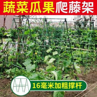 西红柿支撑架黄瓜爬藤架丝瓜番茄豆角瓜果西瓜苦瓜葫芦爬藤架室外
