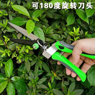花园草坪剪刀草刀家用园林修枝修花草剪绿化修剪盆景花艺园艺剪刀
