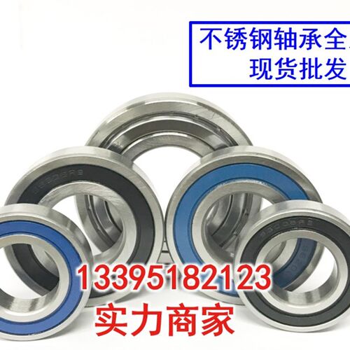不锈钢304轴承S6300Z S6301Z S6302Z S6303Z S6304Z S6305Z S6306